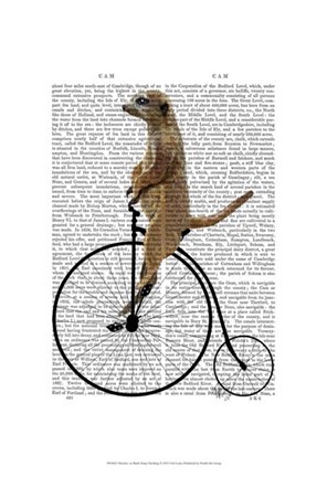 Framed Meerkat on Black Penny Farthing Print