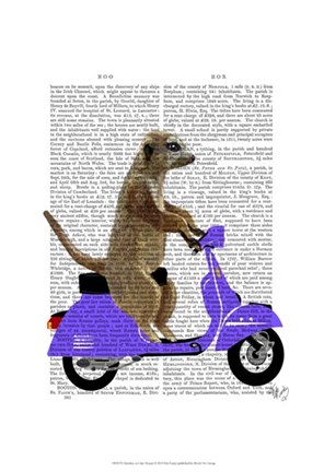 Framed Meerkat on Lilac Moped Print