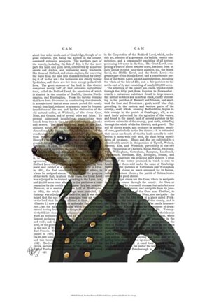 Framed Dandy Meerkat Portrait Print