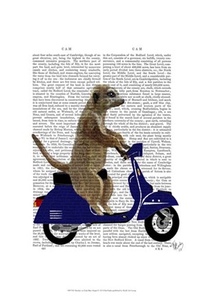 Framed Meerkat on Dark Blue Moped Print