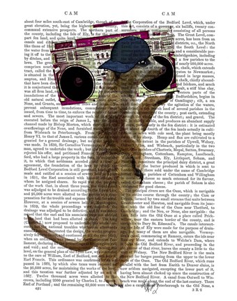 Framed Meerkat with Boom Box Ghetto Blaster Print