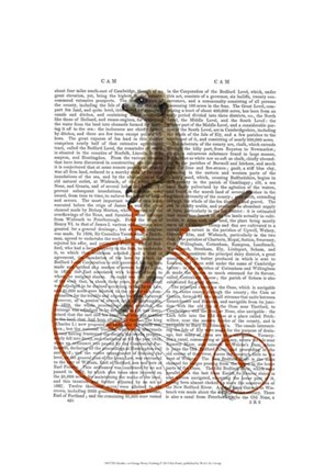 Framed Meerkat on Orange Penny Farthing Print