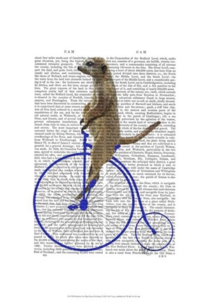 Framed Meerkat On Blue Penny Farthing Print