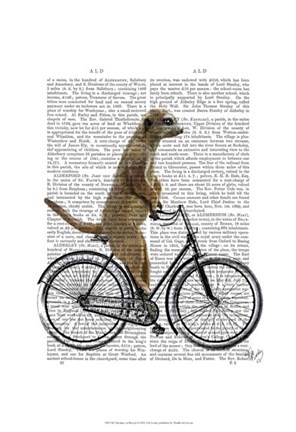 Framed Meerkat on Bicycle Print