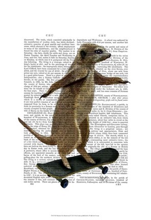 Framed Meerkat On Skateboard Print