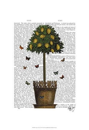 Framed Lemon Tree Print