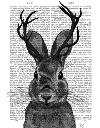 Framed Jackalope with Grey Antlers Print