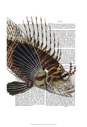Framed Vintage Spiky Fish Print