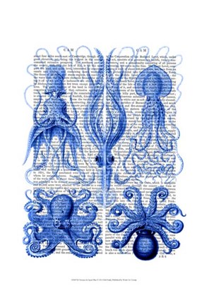 Framed Octopus &amp; Squid Blue Print