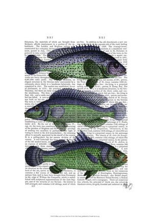 Framed Blue and Green Fish Trio Print