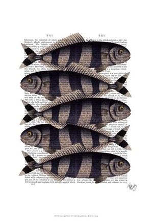 Framed Five Striped Fish Print