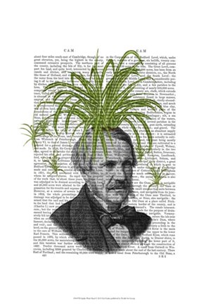 Framed Spider Plant Head Print