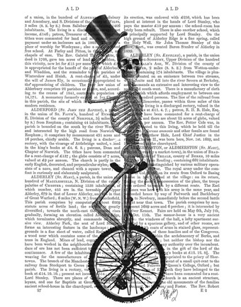 Framed Skeleton on Unicycle Print