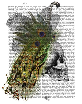 Framed Skull With Feather Headress Print