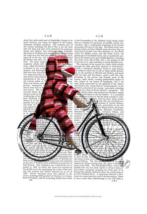 Framed Sock Monkey on Bicycle Print
