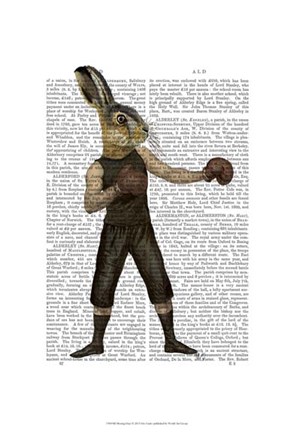 Framed Boxing Hare Print