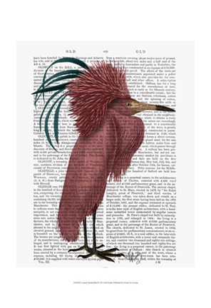 Framed Crested Marsala Bird Print