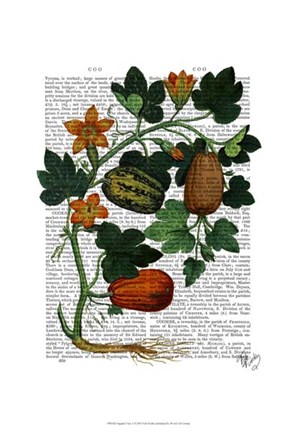 Framed Squash Vine 1 Print