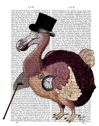 Framed Dapper Dodo Print