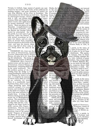 Framed Monsieur Bulldog Print