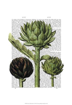 Framed Globe Artichoke Print 1 Print