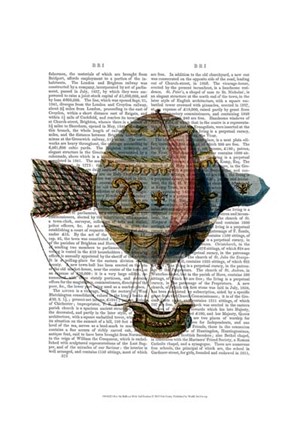 Framed Hot Air Balloon With Tail Feather Print