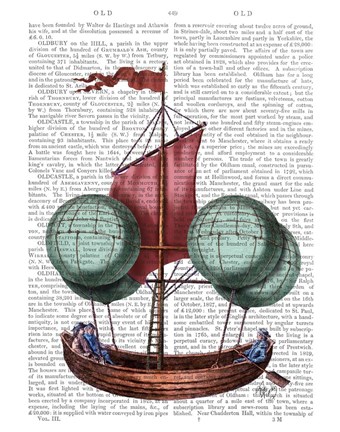 Framed Hot Air Balloon Airship With Red Sail Print
