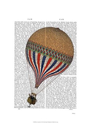 Framed Le Tricolore Print