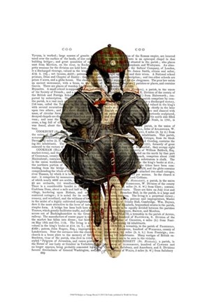 Framed Badger on Vintage Bicycle Print