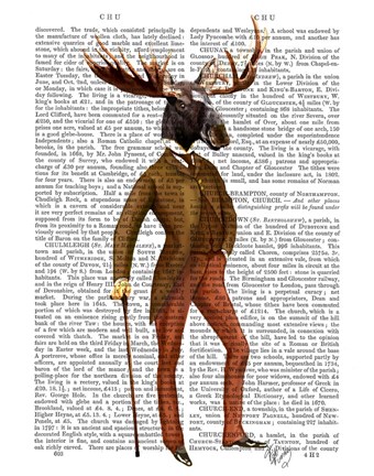 Framed Moose In Suit Full Print