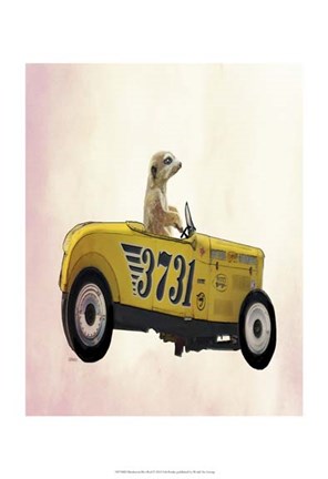 Framed Meerkat in Hot Rod Print