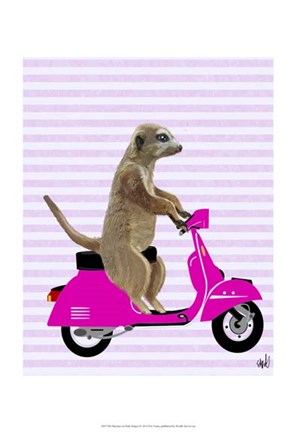 Framed Meerkat on Pink Moped Print