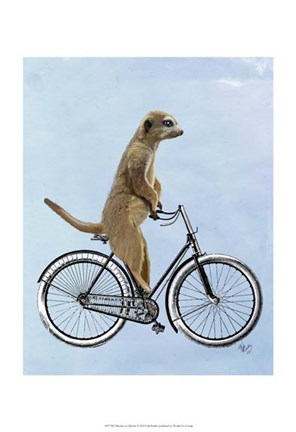 Framed Meerkat on Bicycle Print