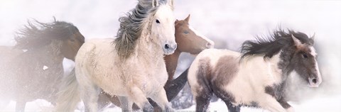 Framed Mystic Journey Print