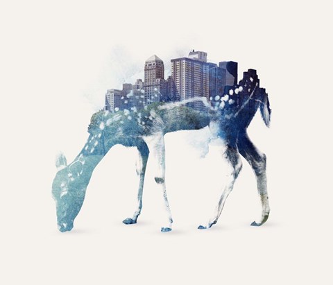 Framed City Deer Print