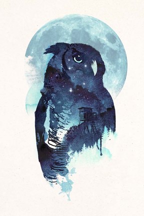 Framed Midnight Owl Print