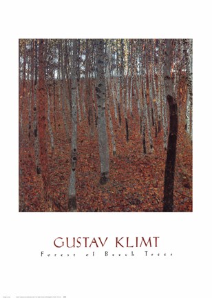 Framed Forrest Of Beech Trees Print