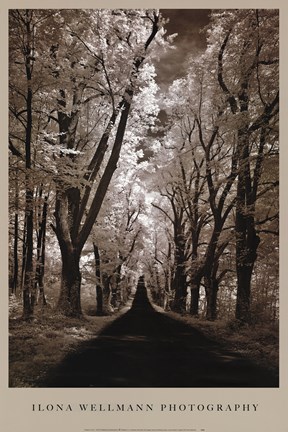 Framed Country Road II Print