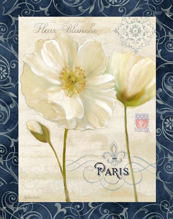 Framed Paris Poppies w/Navy Border II Print