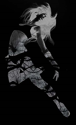 Framed Gliding Print