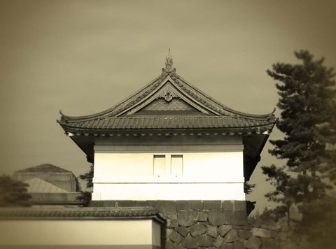 Framed Old Tokyo Print