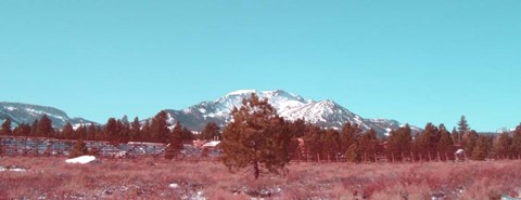 Framed Mammoth Mountain Print