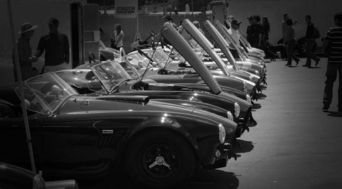 Framed 427 Cobras Print