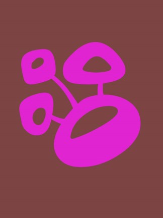 Framed Funny Shape Blum 2 Print