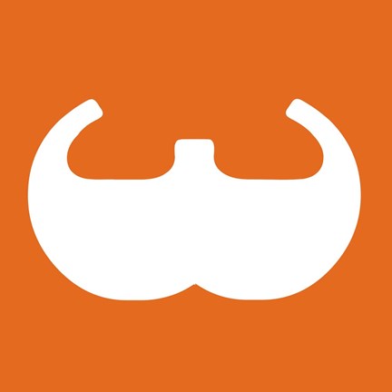 Framed Letter W White Print