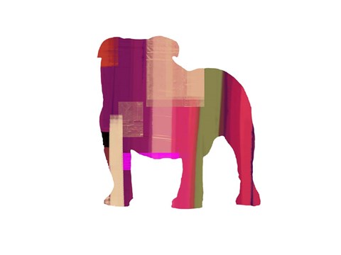 Framed Bulldog Print