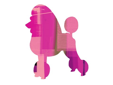 Framed French Poodle Print