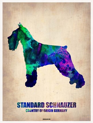 Framed Standard Schnauzer Print