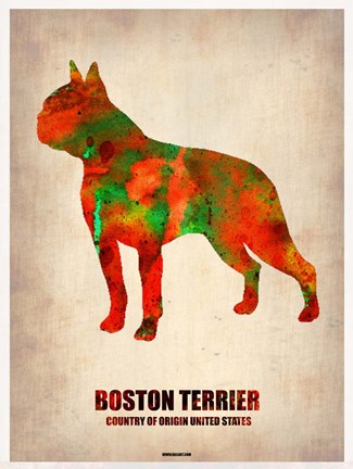 Framed Boston Terrier Print