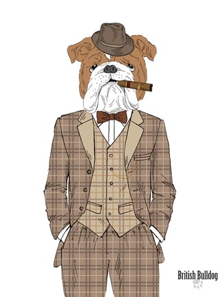 Framed British Bulldog In Tweed Suit Print